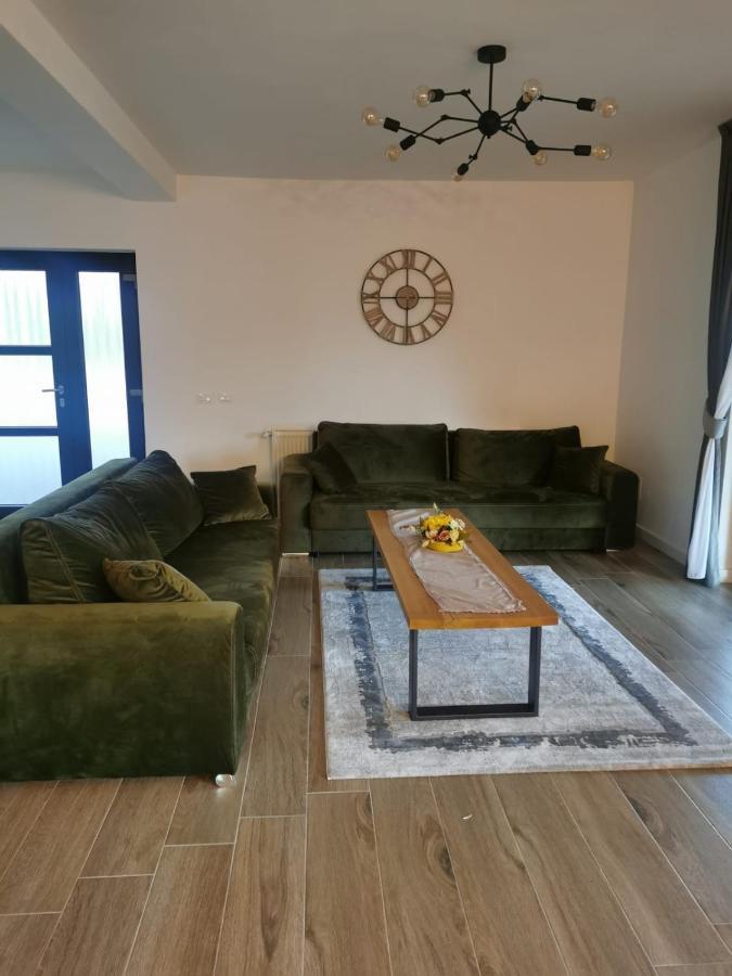 Cabana 9 Борша Екстер'єр фото