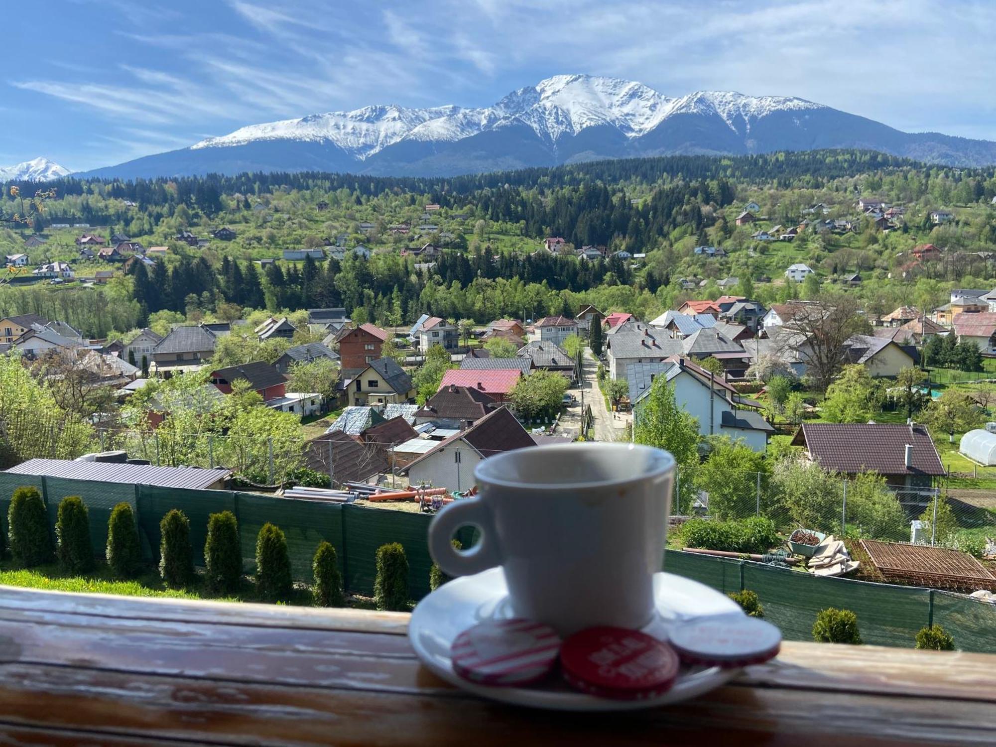 Cabana 9 Борша Екстер'єр фото